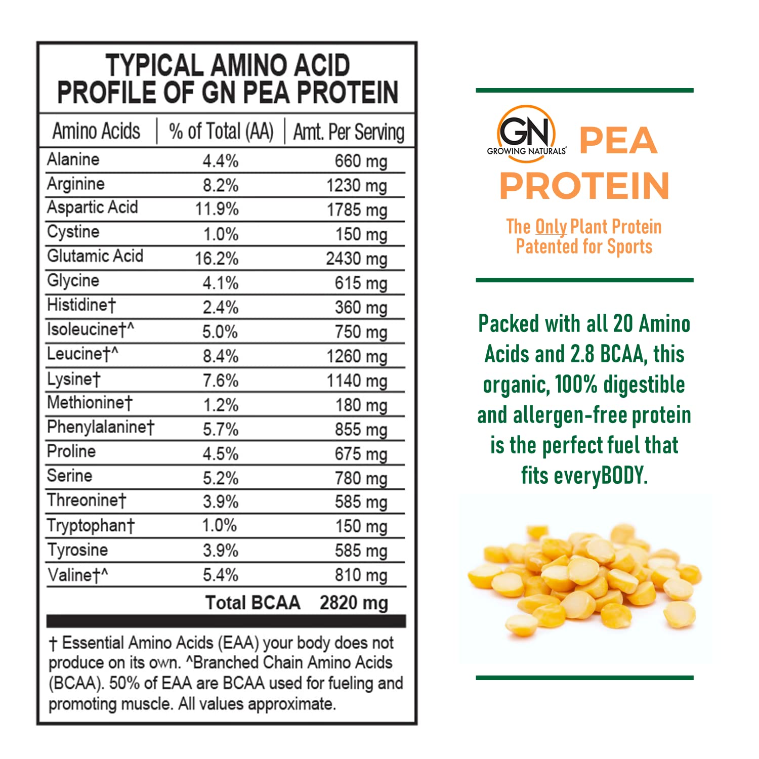 Growing Naturals pea protein scoop ready for smoothies and bowls.