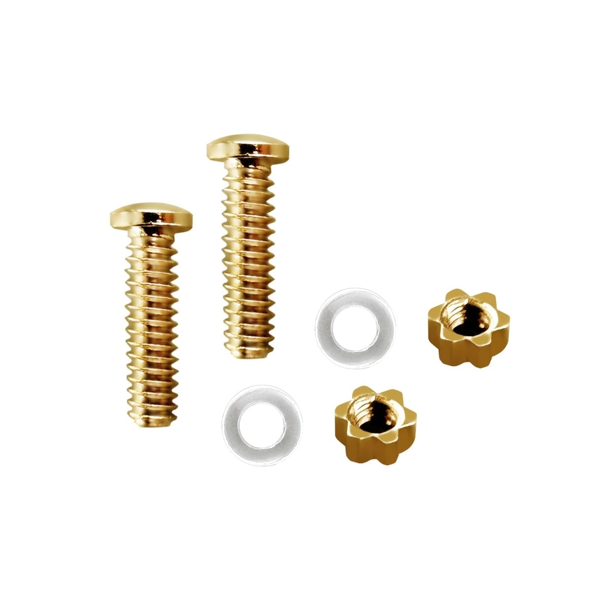 Replacement screws, nuts, gaskets, and screwdriver in Gucci kit