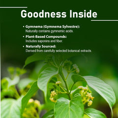 Gurmar Gymnema Sylvestre supplement product label