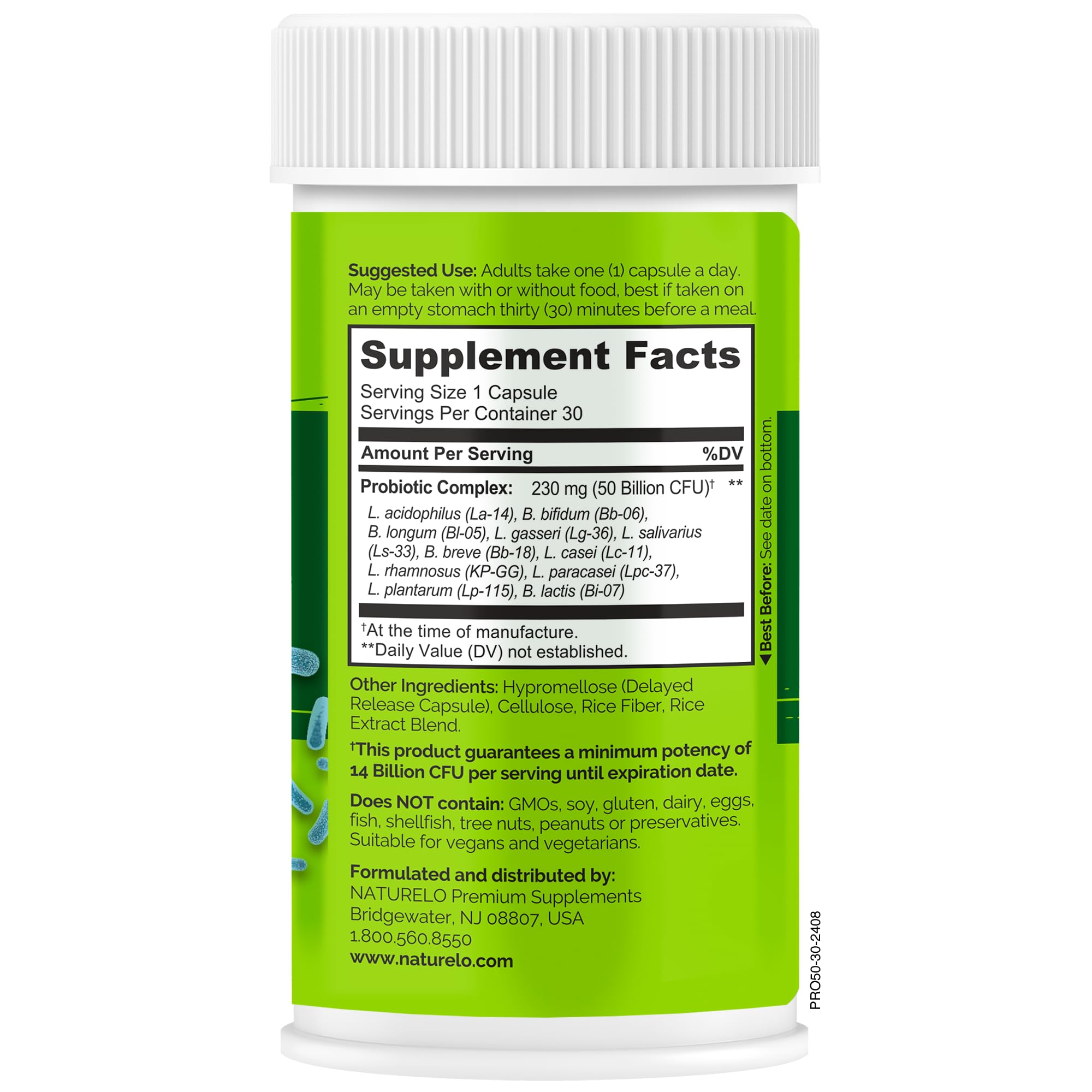 Symbolic image of gut health balance from probiotics