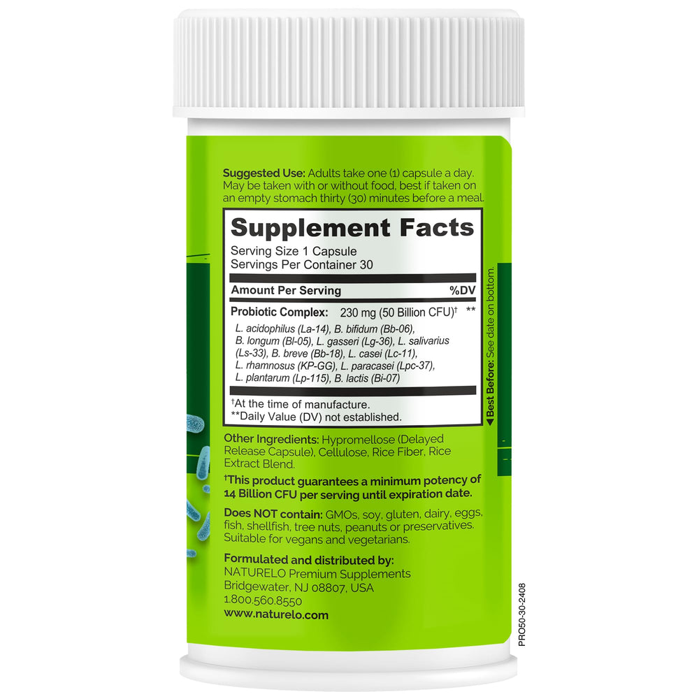 Symbolic image of gut health balance from probiotics