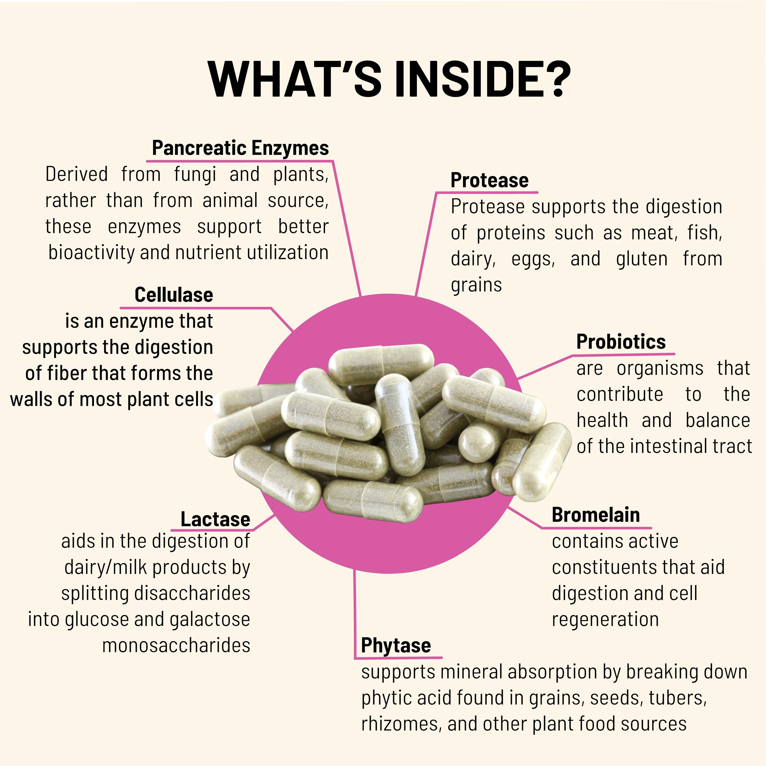 Infographic showing gut health and bloating relief