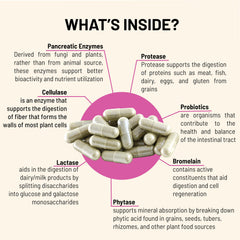 Infographic showing gut health and bloating relief