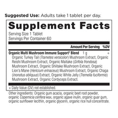 Mushroom supplement promoting gut health and digestion