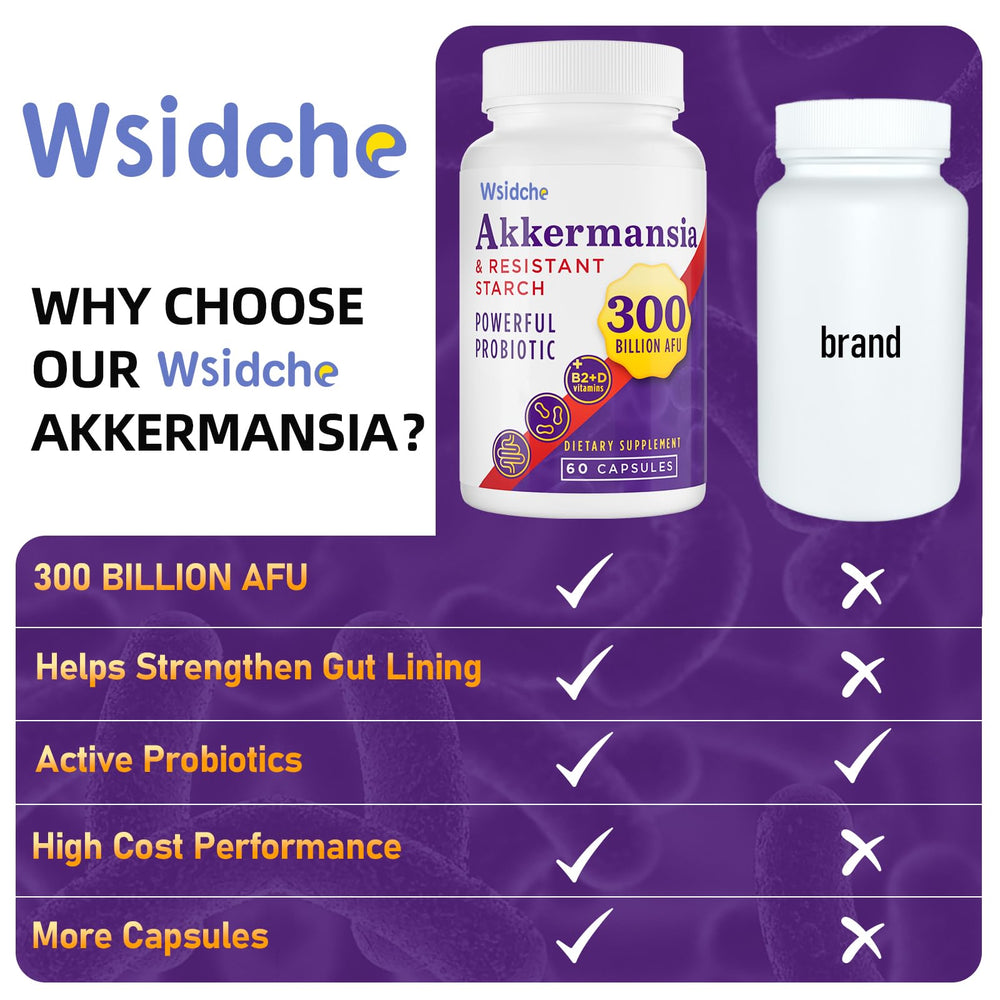Digestive and gut health concept with Akkermansia illustration