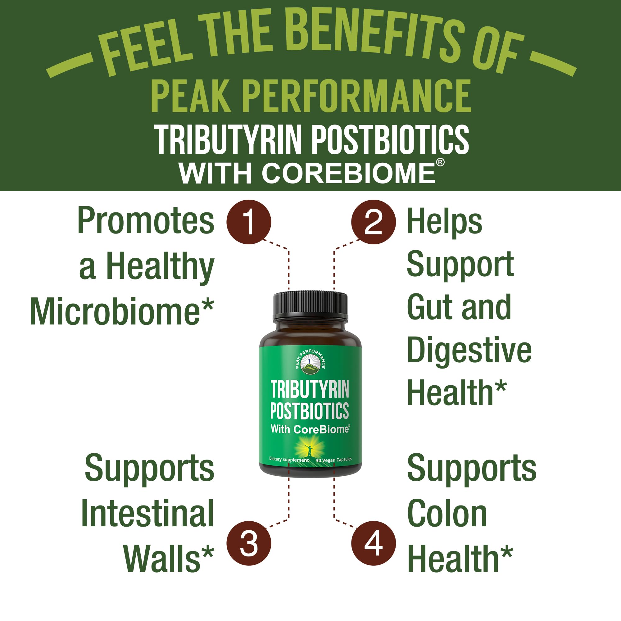 Gut health illustration featuring CoreBiome Tributyrin