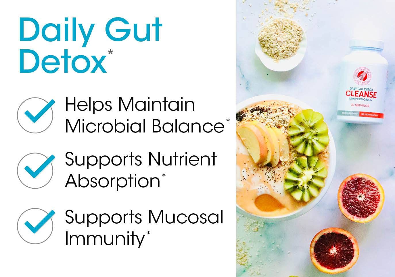 Gut health illustration showing probiotics and immune support