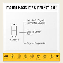 Fermentation process concept for Symbio Kefir-Kombucha