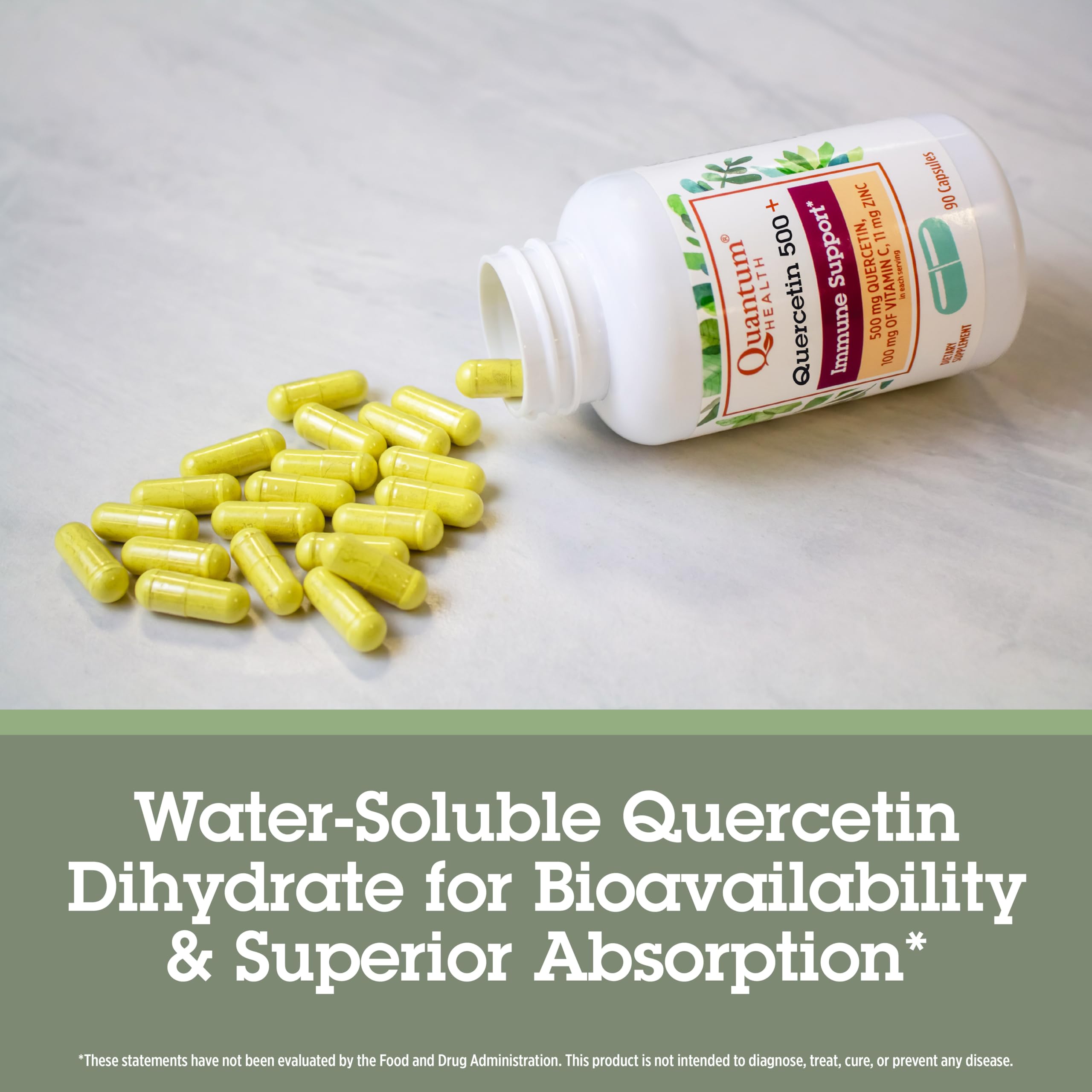 Gut health support ingredients visual