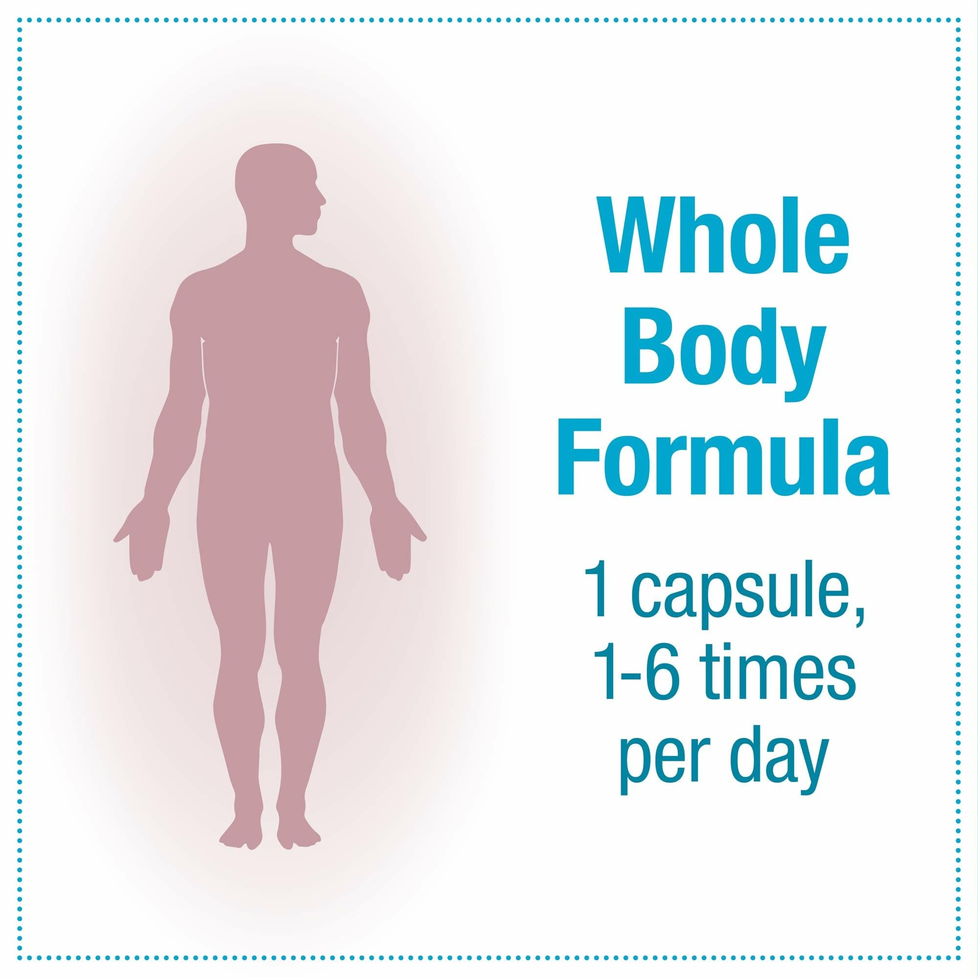 Gut health support illustration