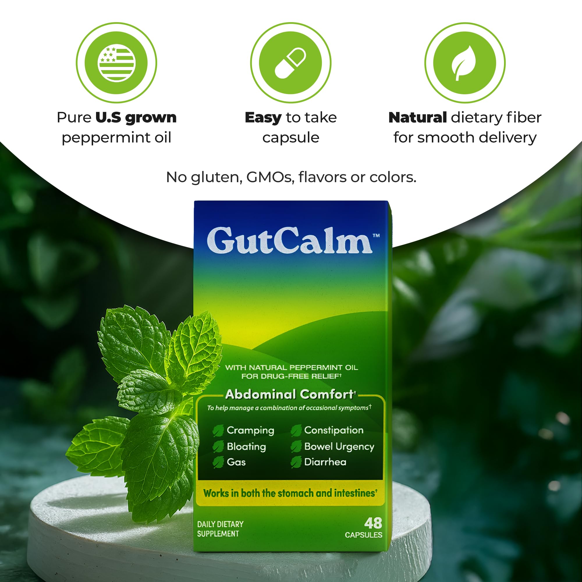 Diagram showing peppermint oil delivered to stomach and intestines