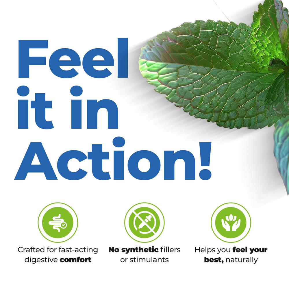 Peppermint oil capsules providing IBS relief