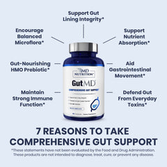 Icon representing immune system support from gut health