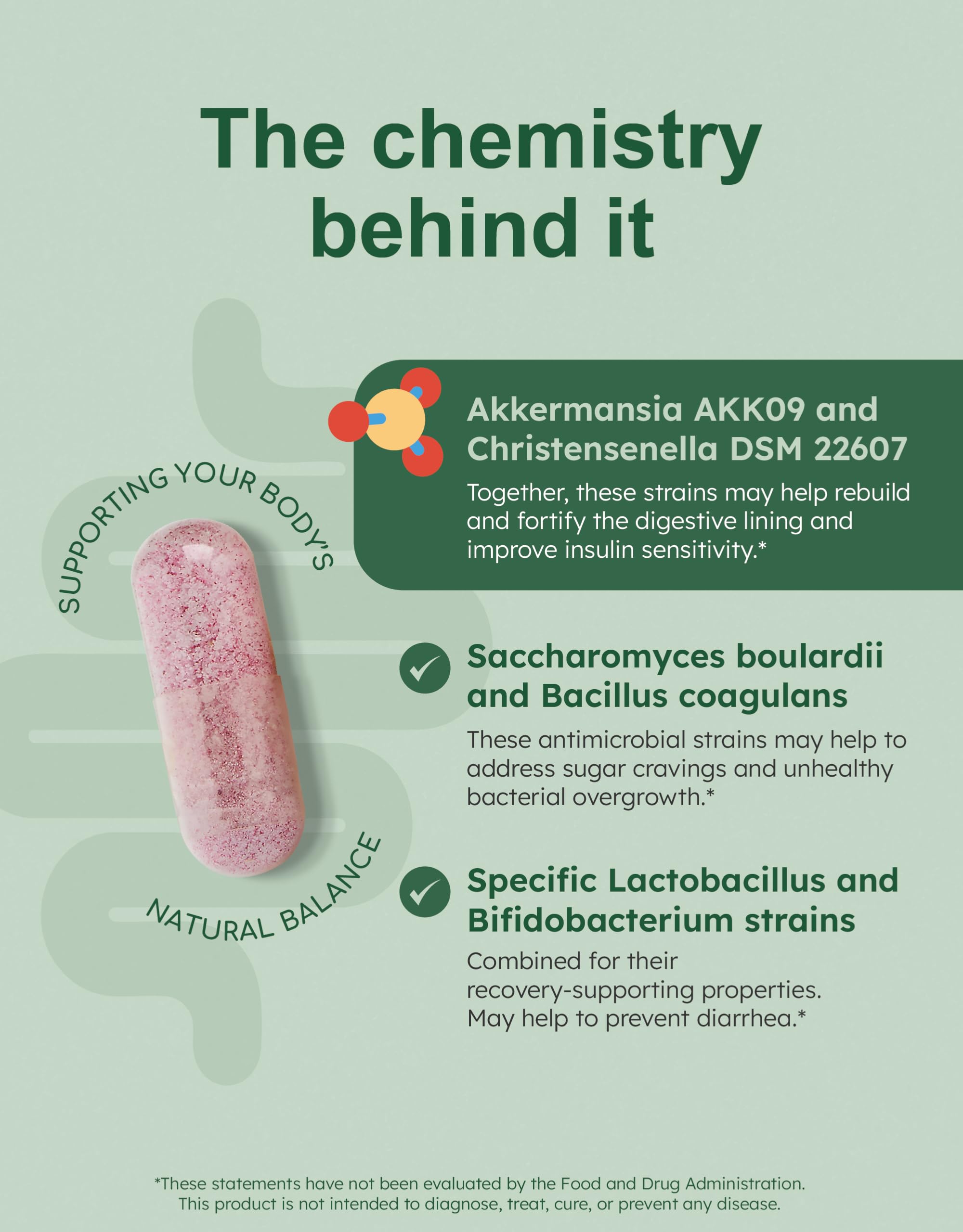 Illustration of Christensenella minuta for GutRx BALANCE