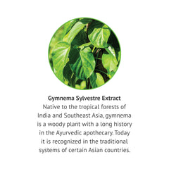 Ingredient panel for Gymnema Sylvestre liquid extract.