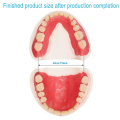 Gypsum model bottom mold for denture