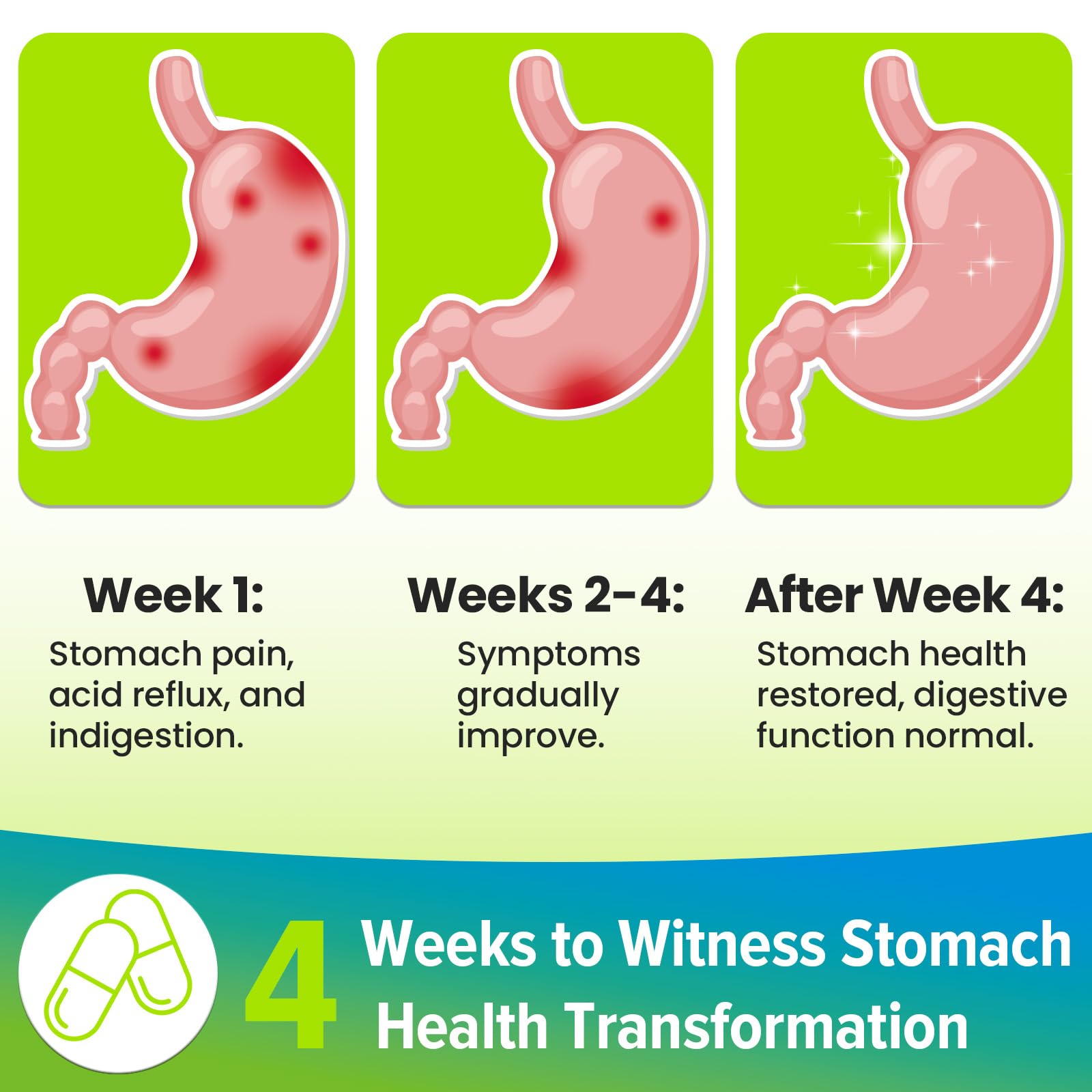 Green tea extract used in the probiotic blend