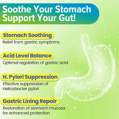 Lactobacillus reuteri and other probiotic strains