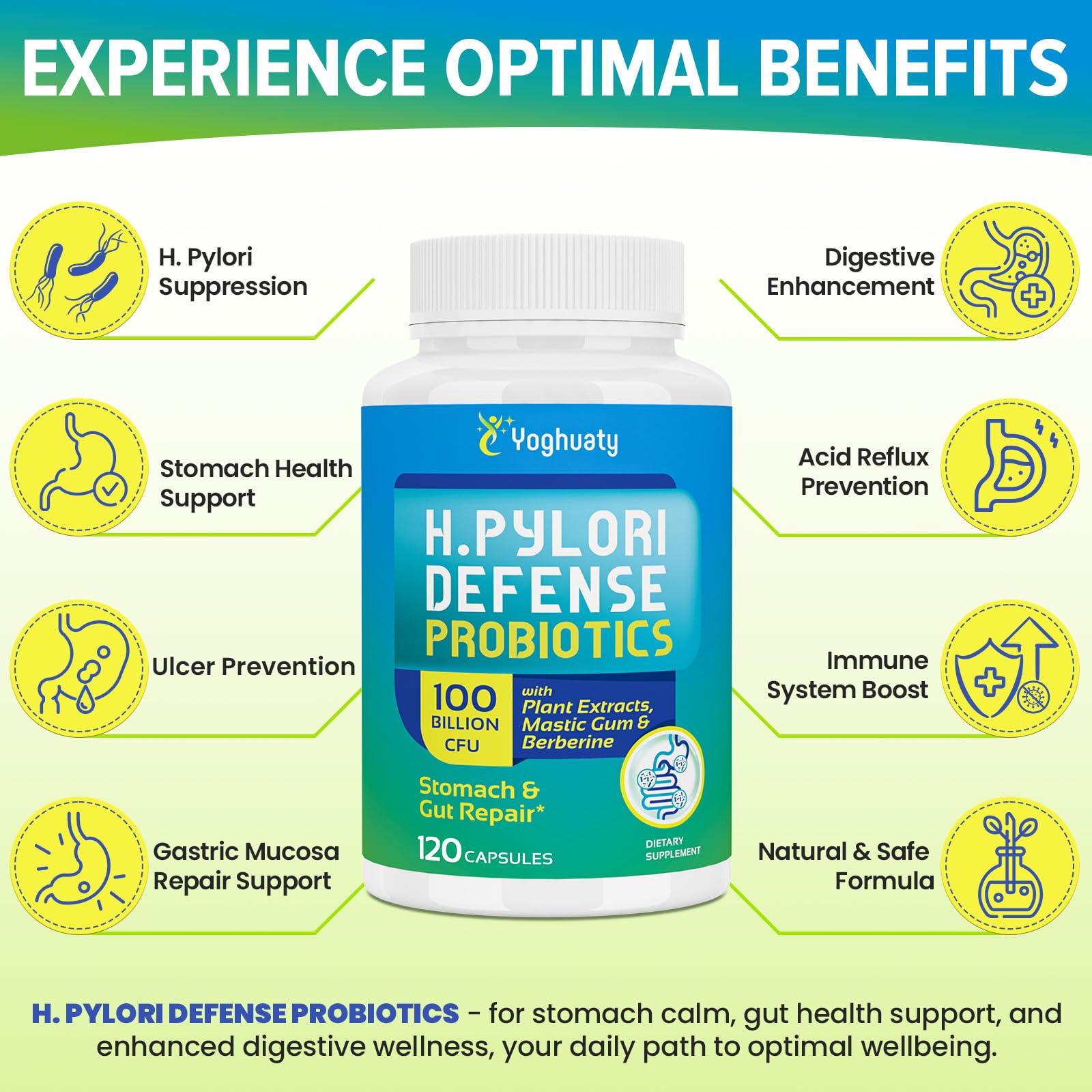 Mastic gum extract ingredient