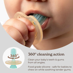 Toothbrush with suction base upright on counter