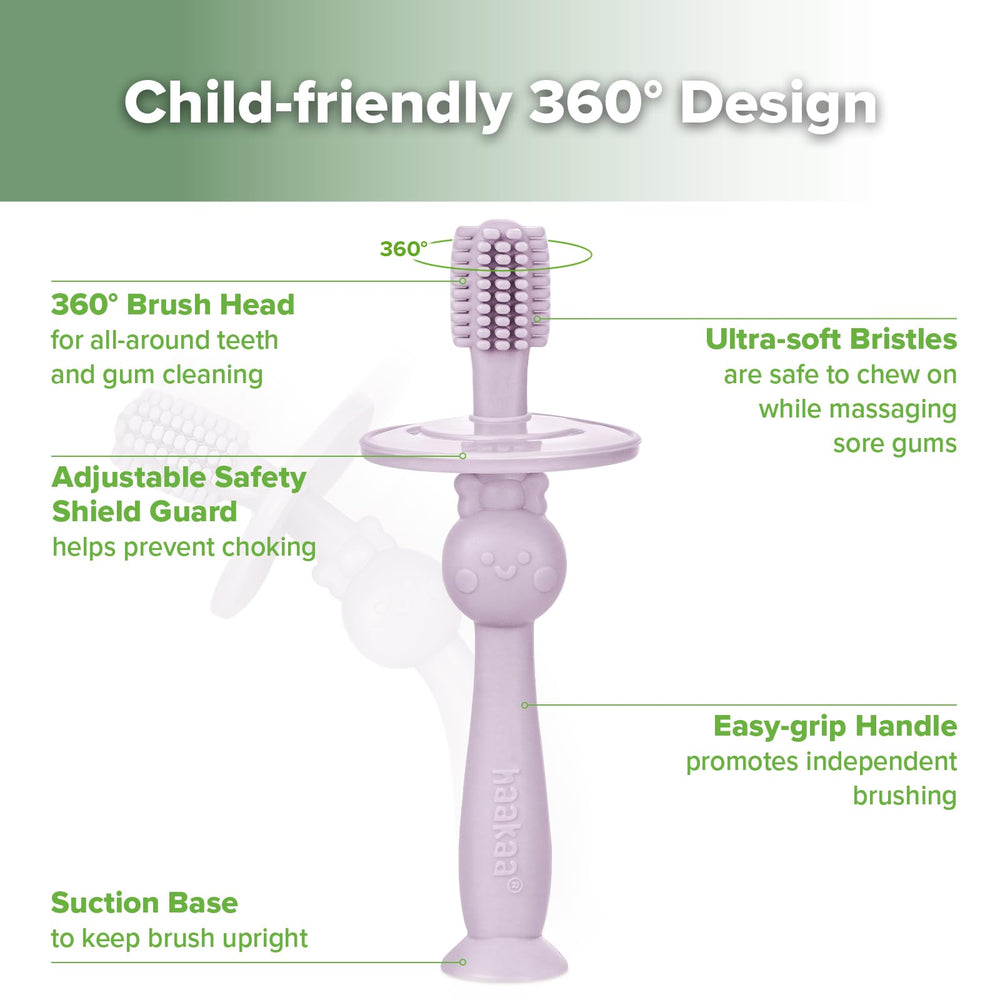 Suction base securing brush to flat surface