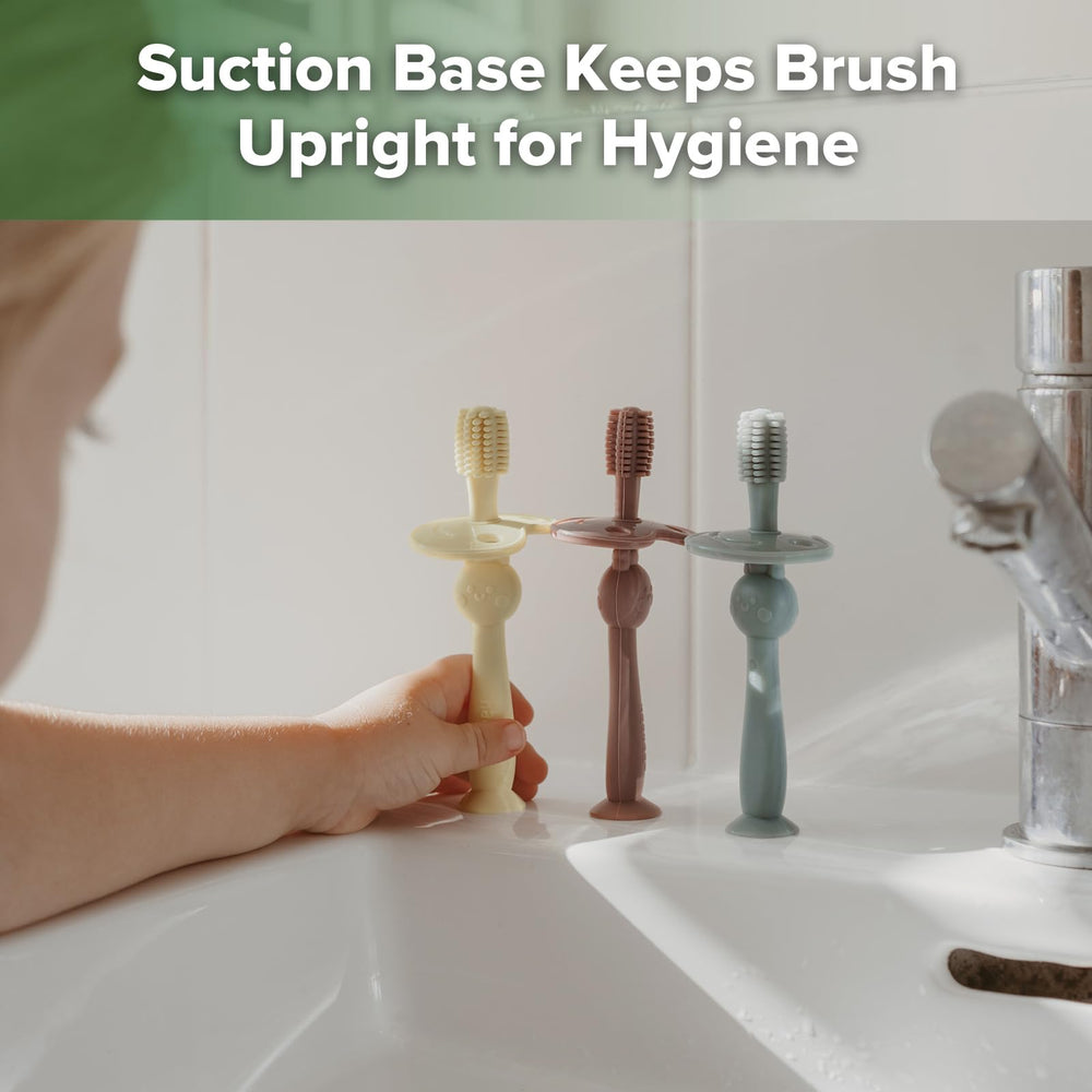 Hygienic upright storage with suction base