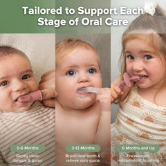 Stage 2 contoured baby toothbrush for 3-12 months