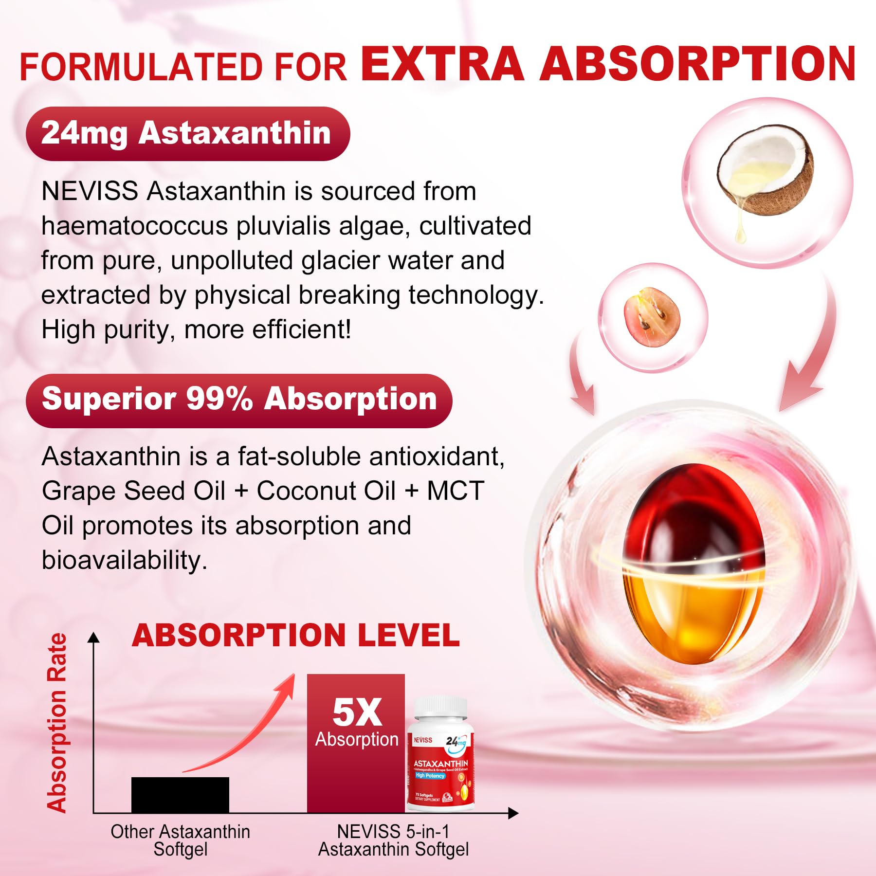 Haematococcus pluvialis microalgae source of astaxanthin