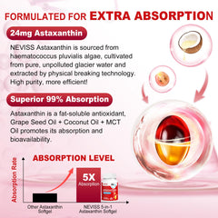 Haematococcus pluvialis microalgae source of astaxanthin