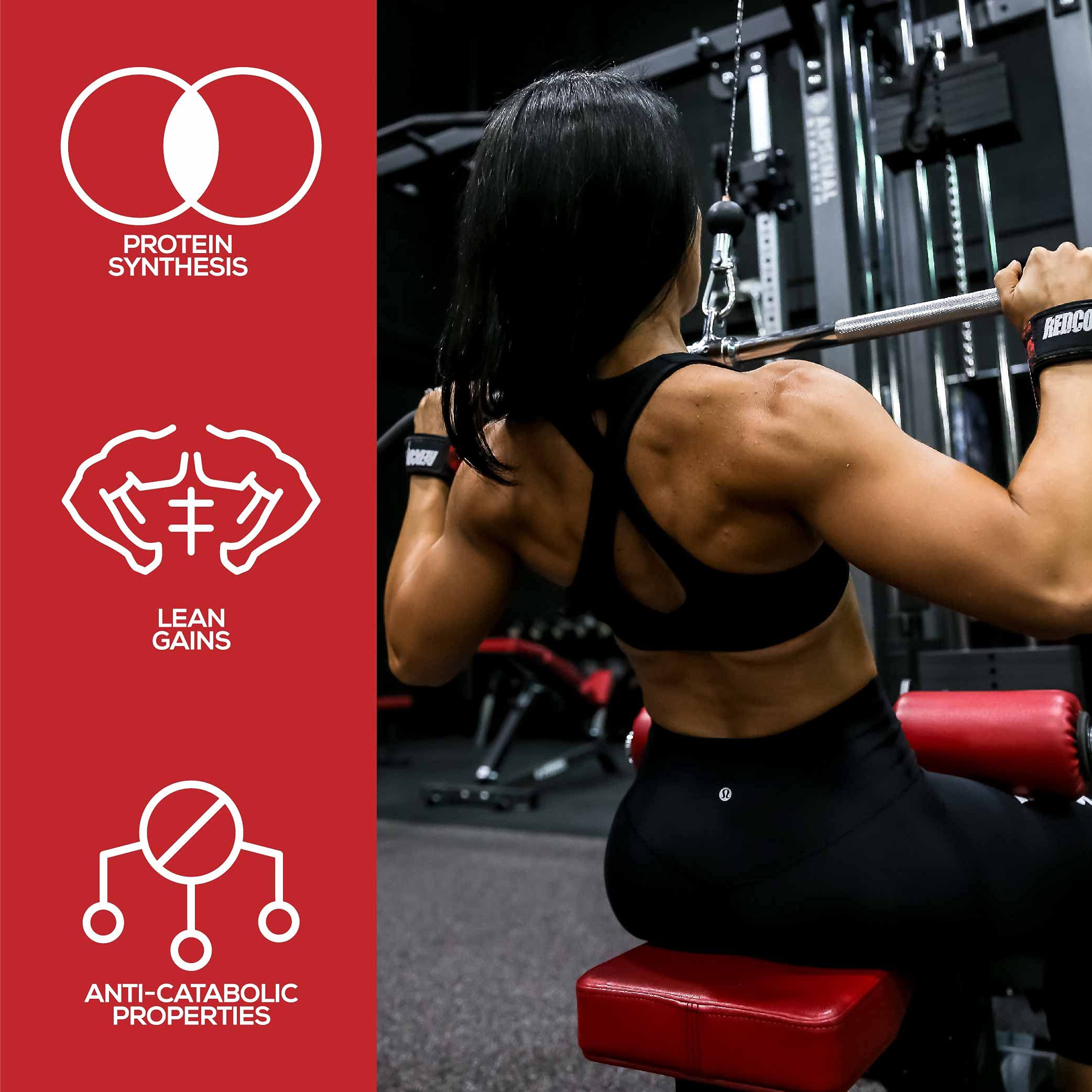 Muscle growth concept with Halo supplement imagery