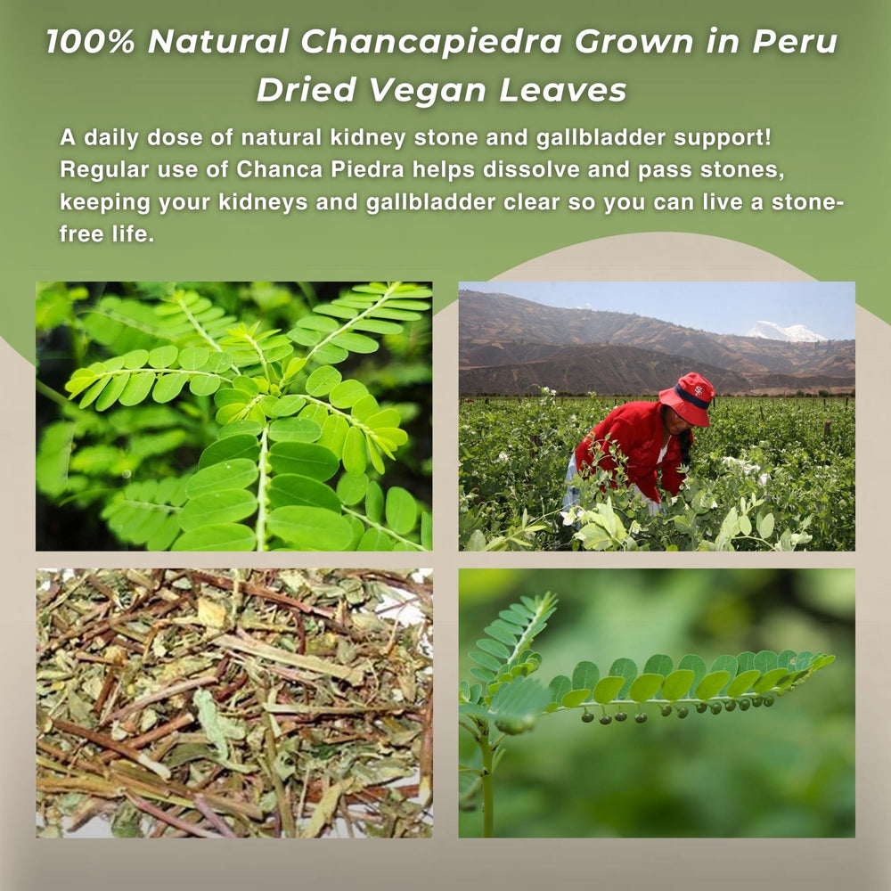 Chanca Piedra Stonebreaker tea cup with saucer