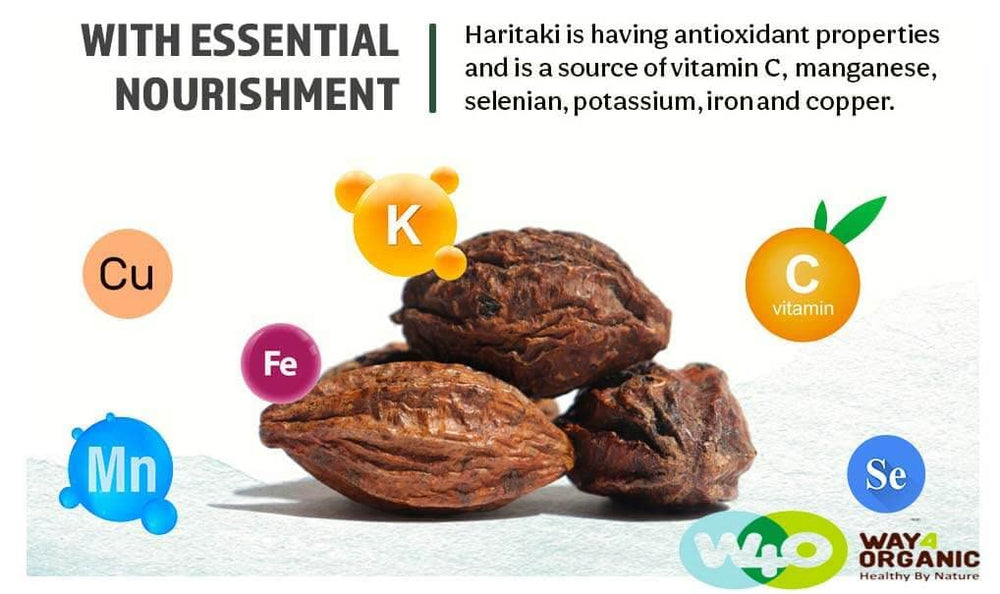 Haritaki powder and capsules on white background