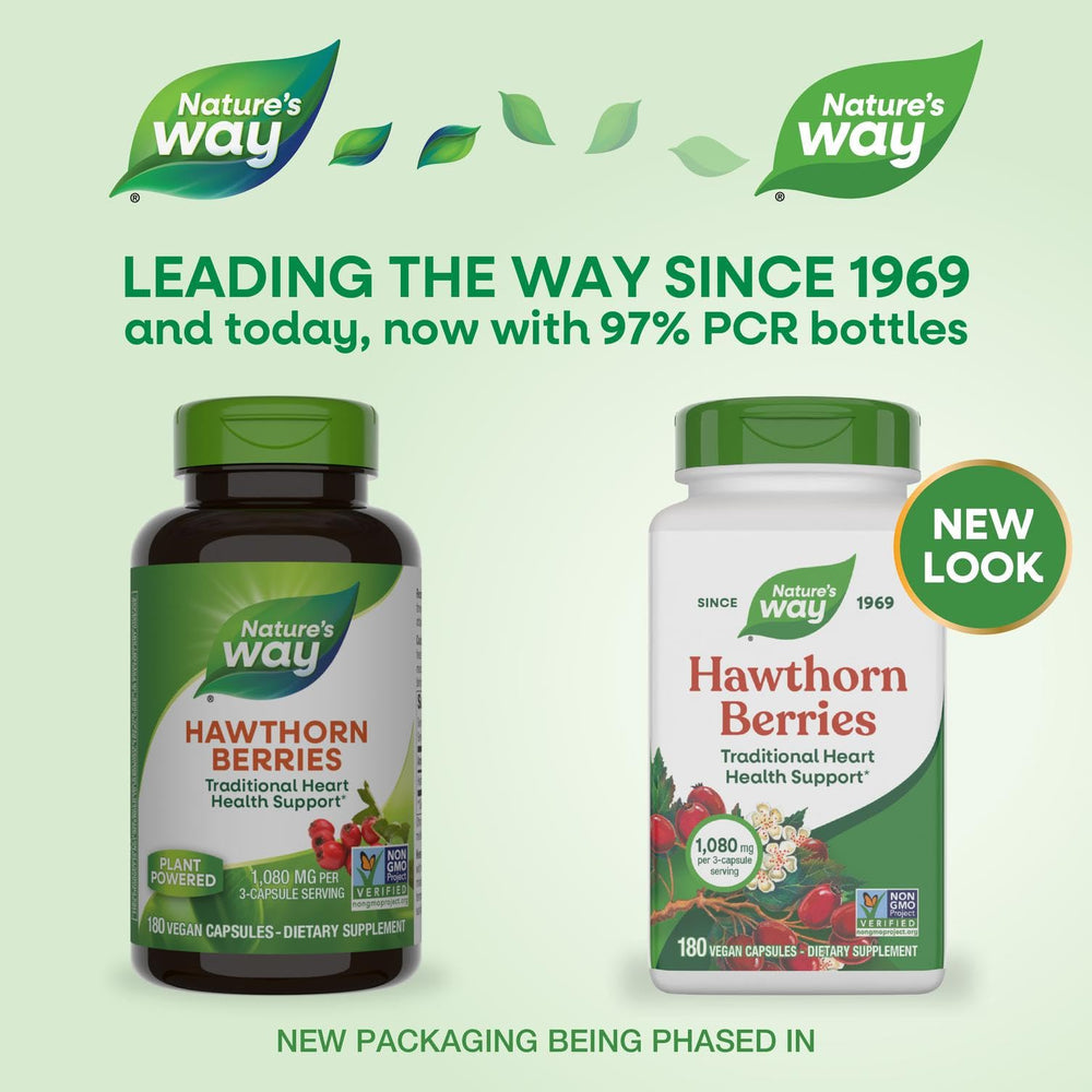 Hawthorn berries fruit and capsules for Nature's Way supplement