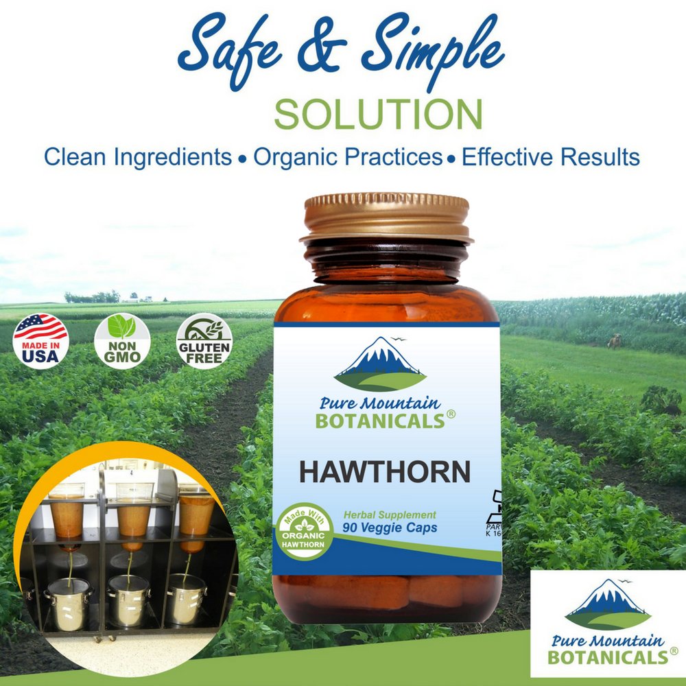 Hawthorn Berry Capsules with organic hawthorn extract