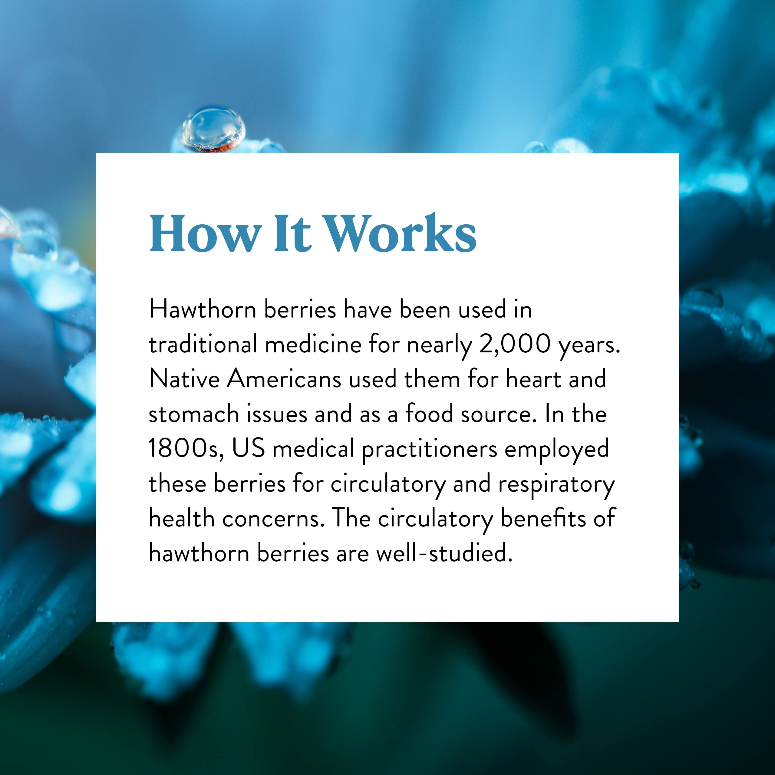 Hawthorn Berries 100 capsules packaging