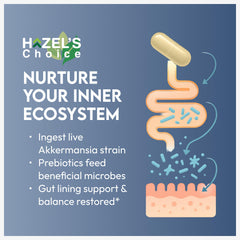Non-GMO, plant-based Akkermansia probiotic capsules