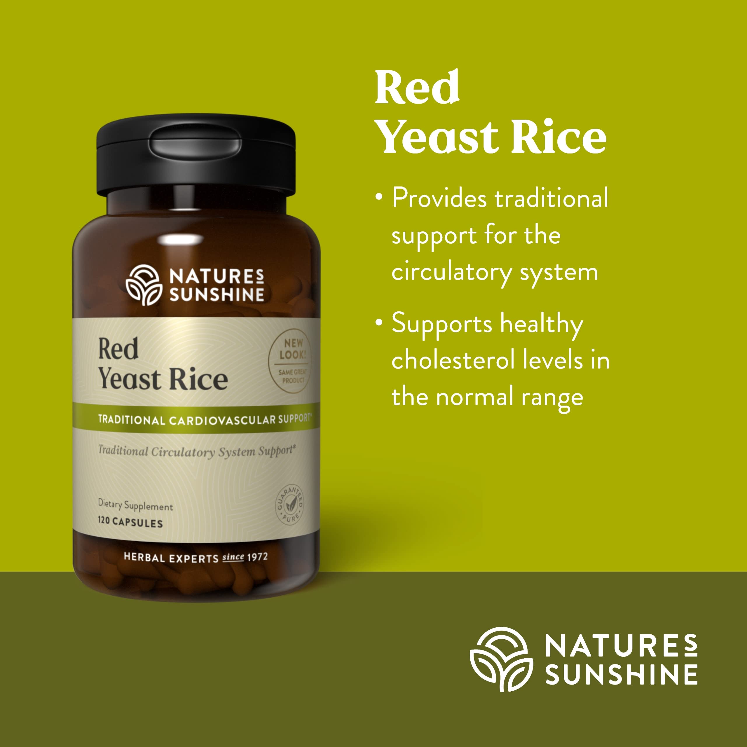 HDL cholesterol production support from red yeast rice