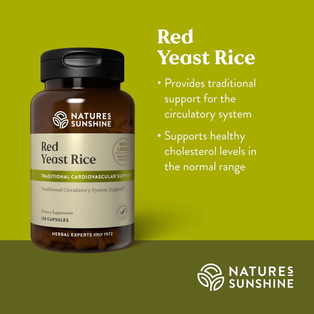 HDL cholesterol production support from red yeast rice