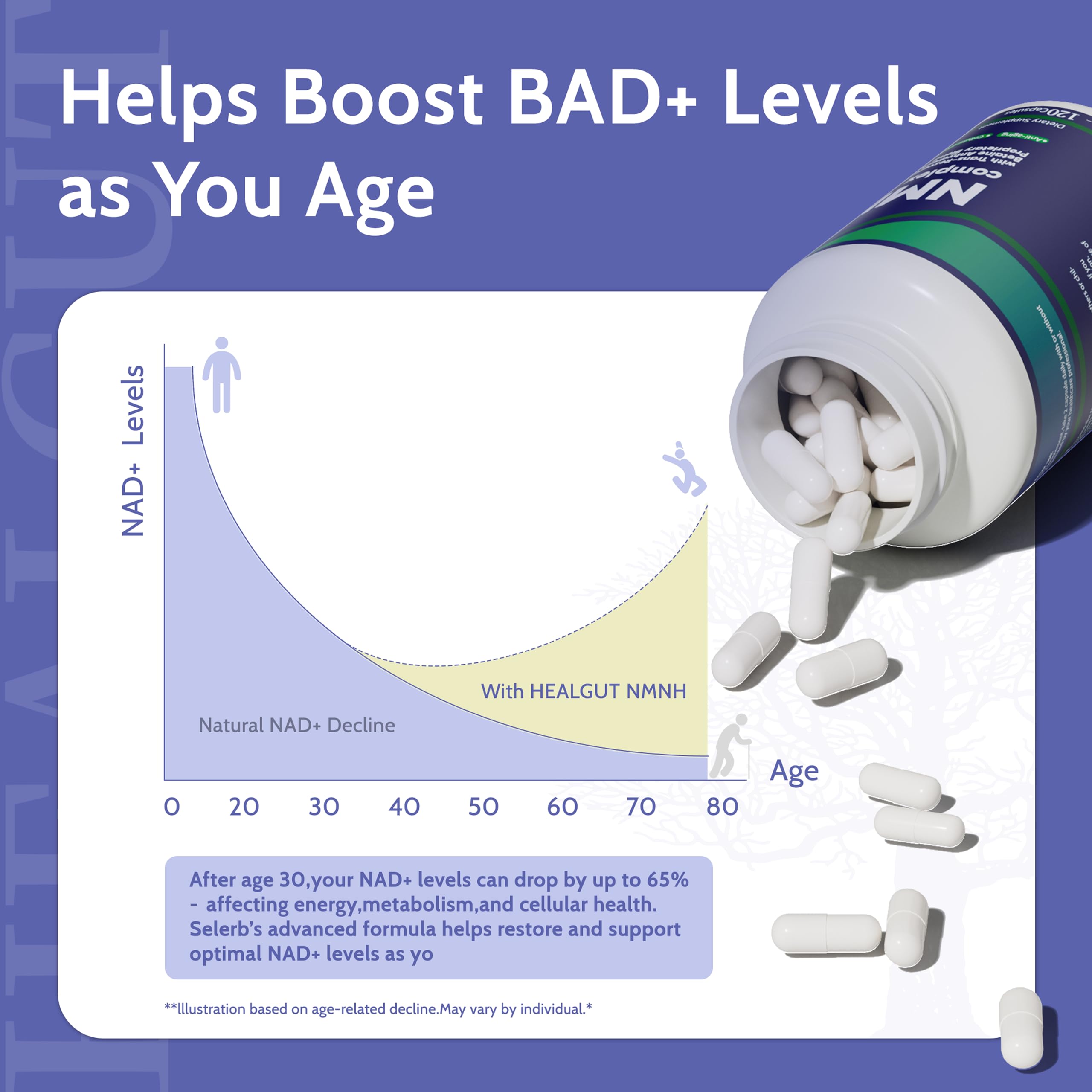 Diagram of NMNH high bioavailability and cell uptake
