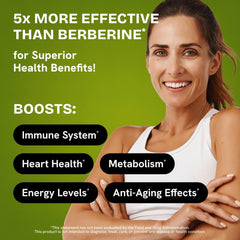 HealMeal Dihydroberberine packaging box