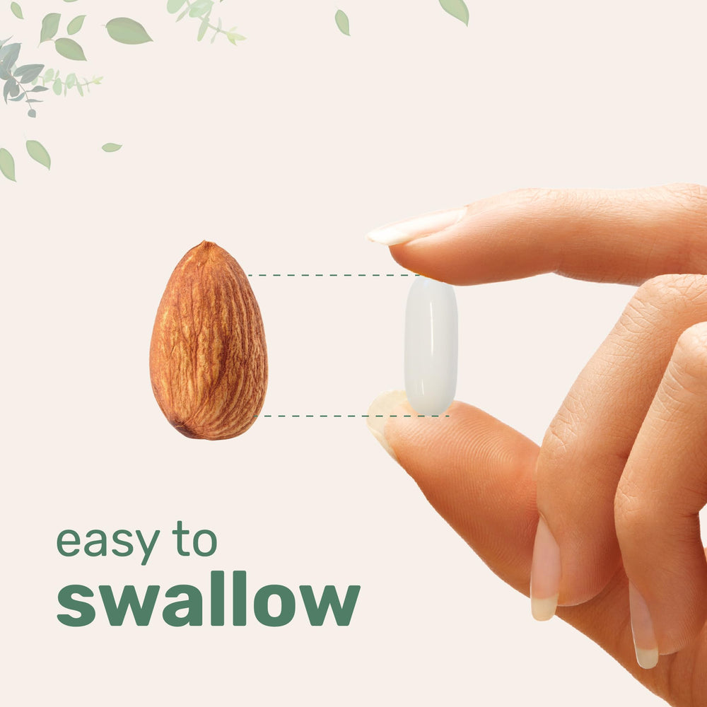 Icons representing liver, nerve, heart and antioxidant support