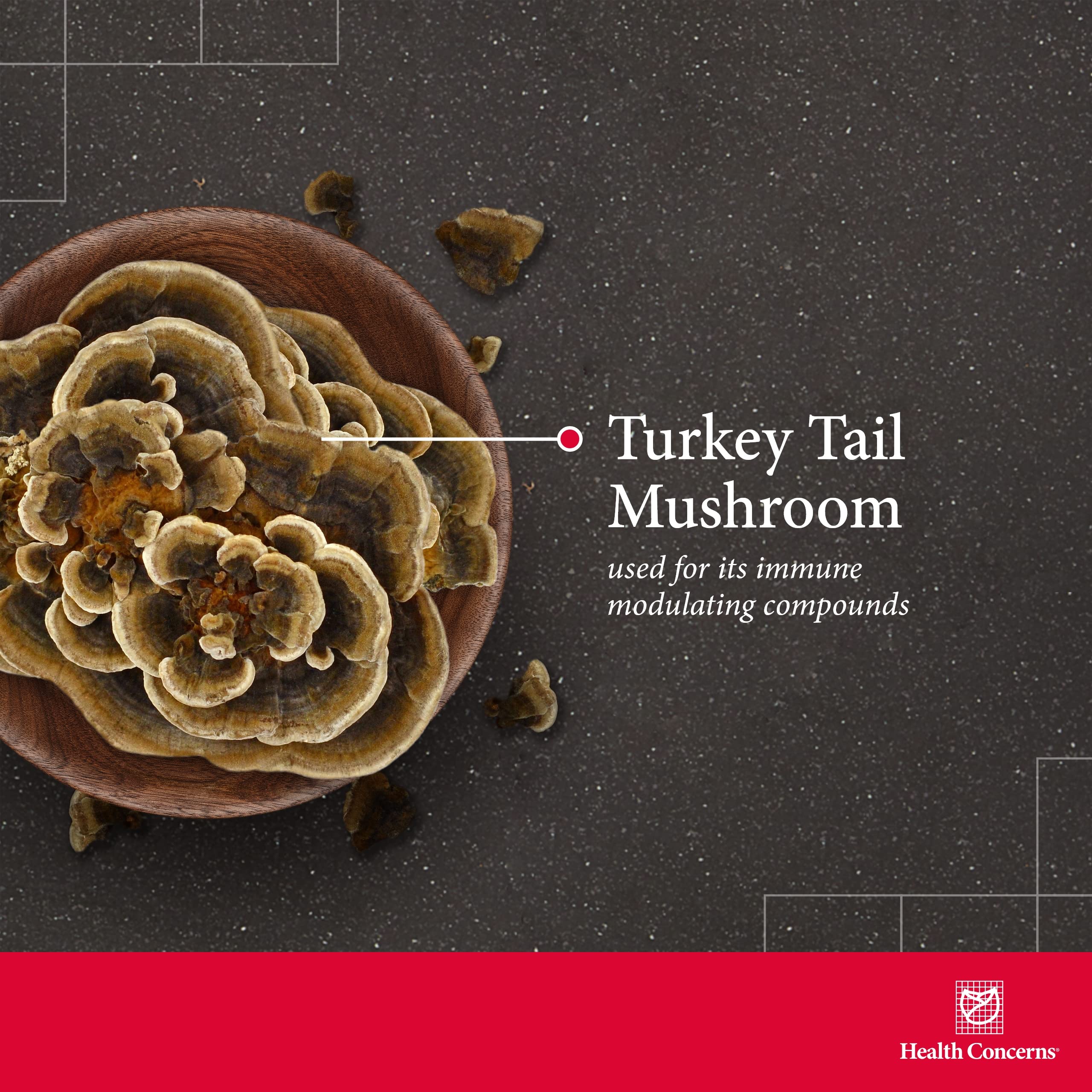 Label displaying 1500 mg per serving for Turkey Tail extract