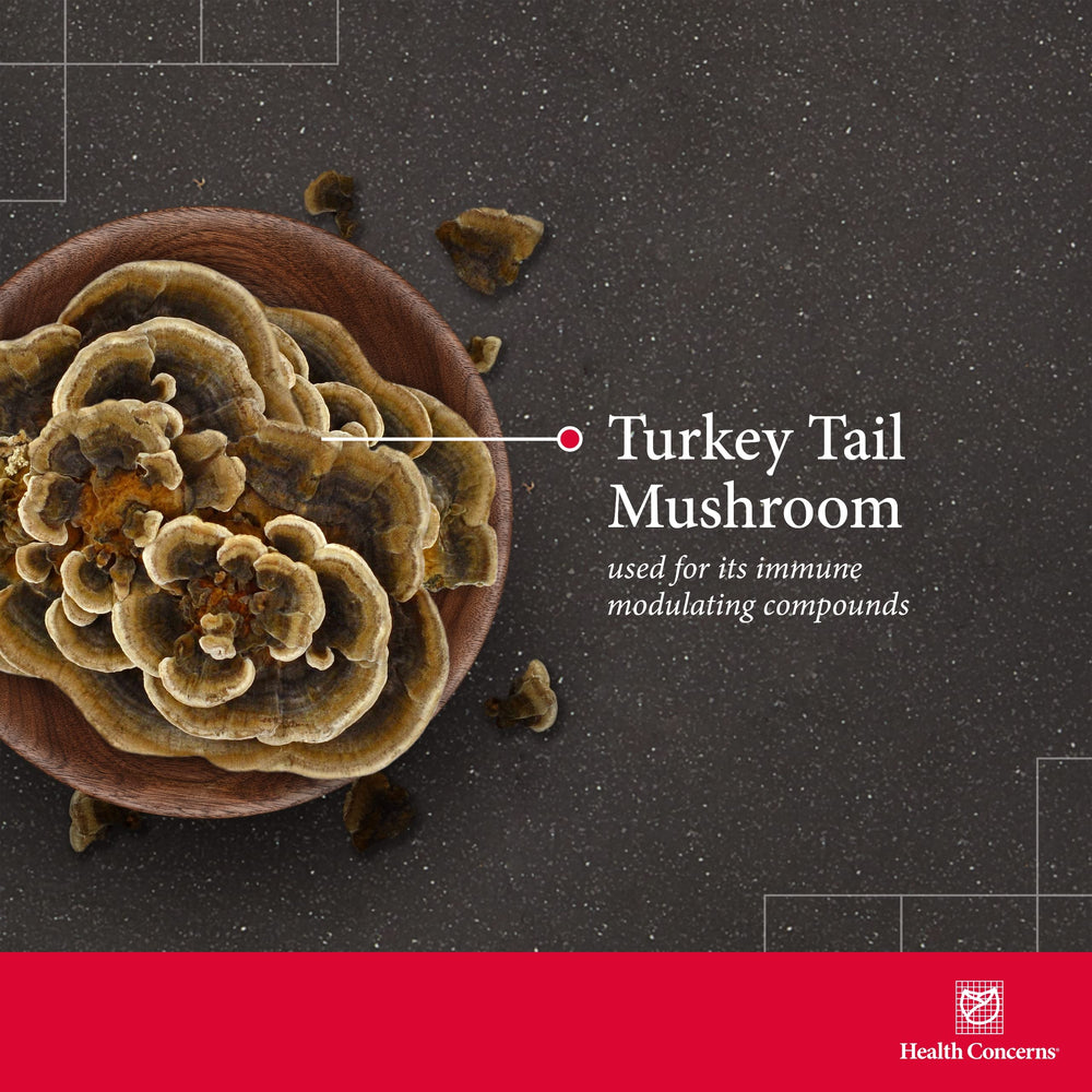 Label displaying 1500 mg per serving for Turkey Tail extract