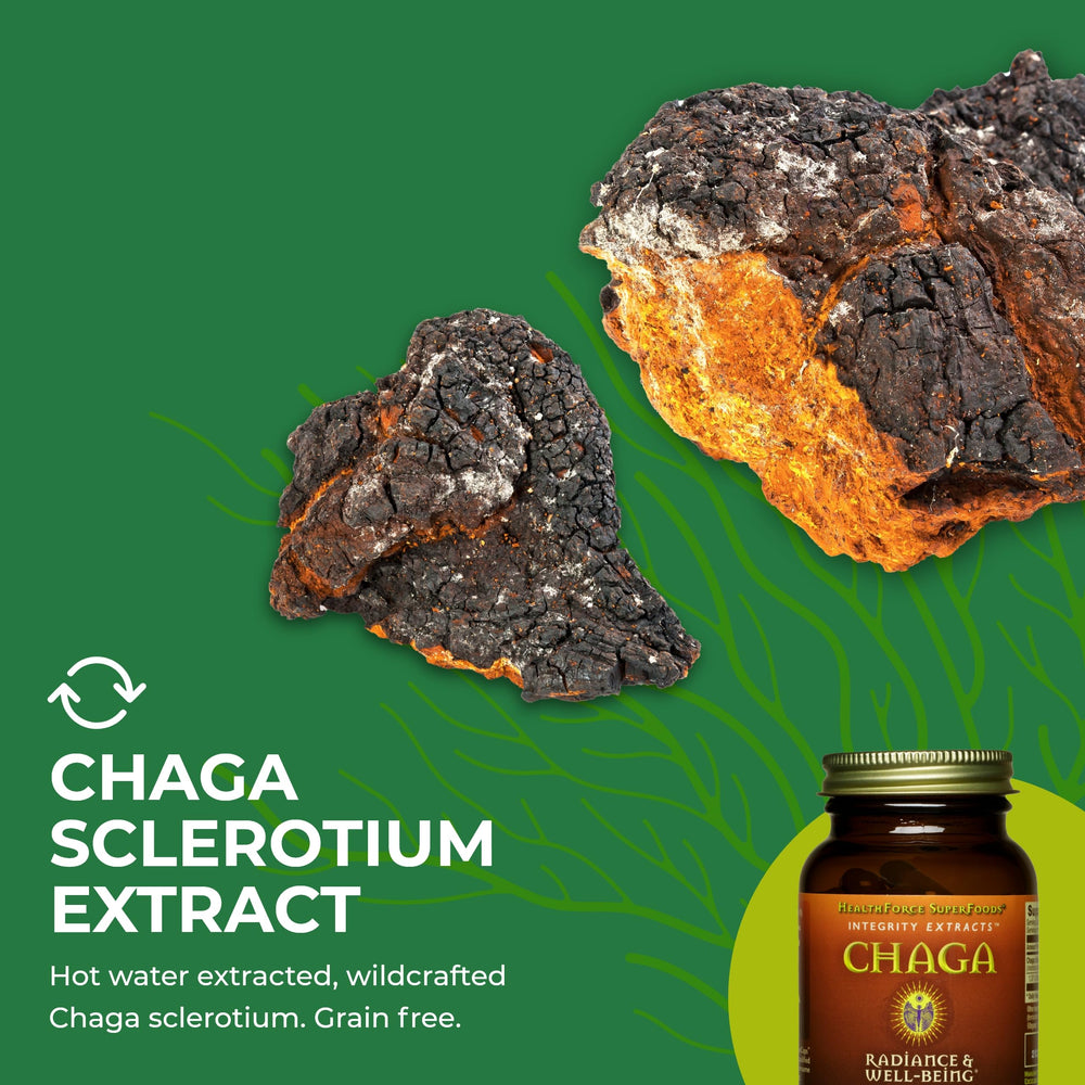 Chaga capsules with natural backdrop and label