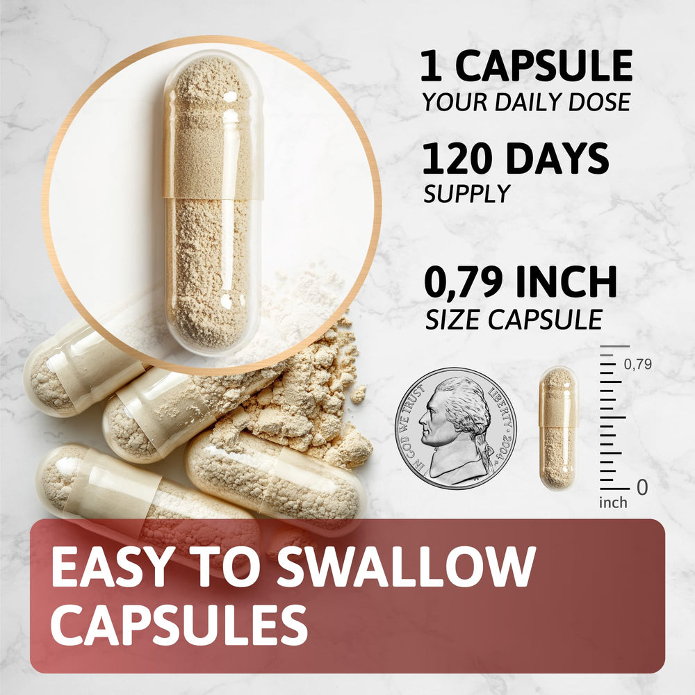Rhodiola Rosea extract used in HEALTHFORGE Shilajit capsules