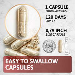 Rhodiola Rosea extract used in HEALTHFORGE Shilajit capsules