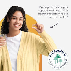 Pycnogenol maritime pine bark extract graphic
