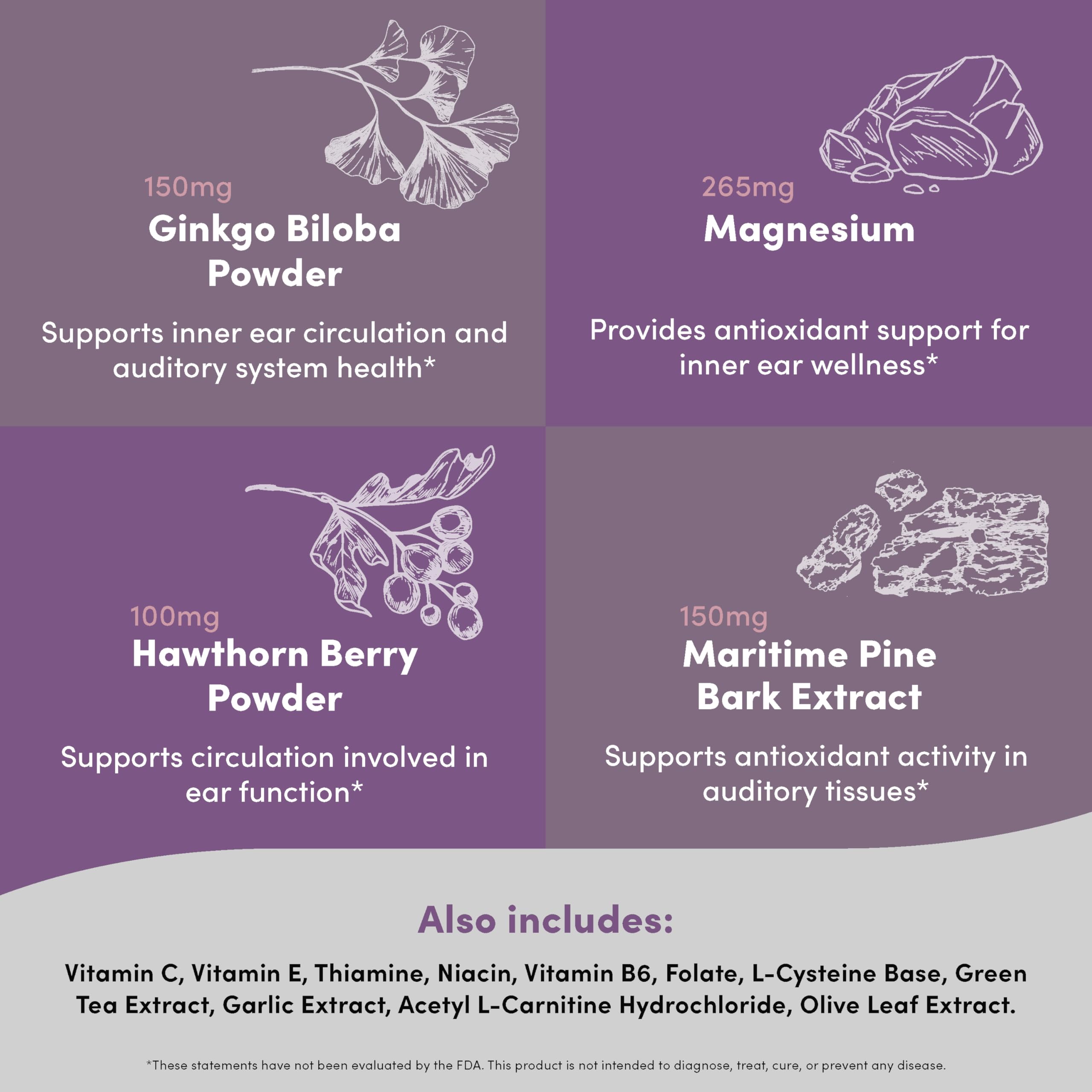 Illustration of olive leaf extract and garlic extract for ear health