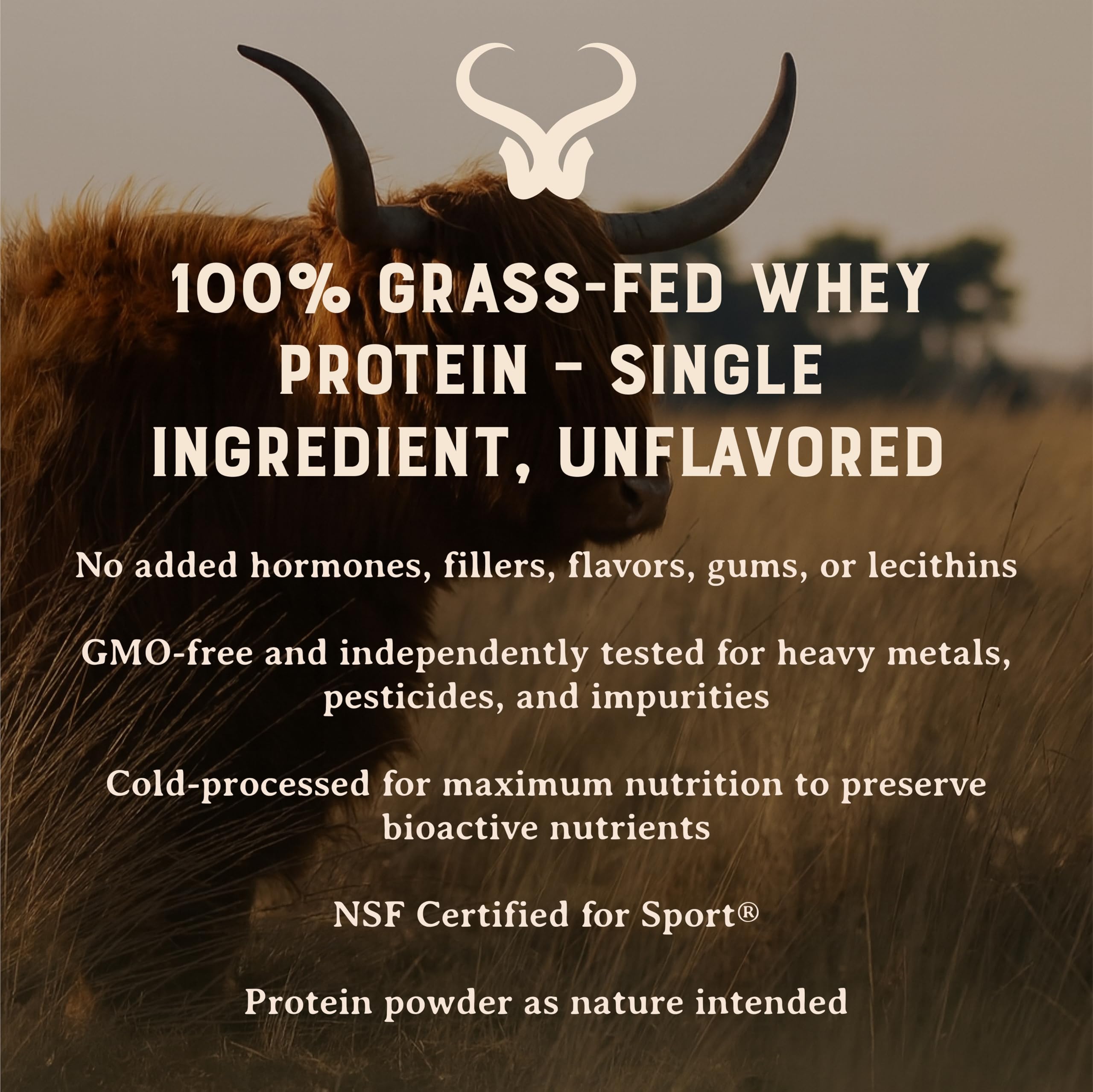 HEART & SOIL whey concentrate unflavored powder scoop closeup shows pure protein for quick recovery.