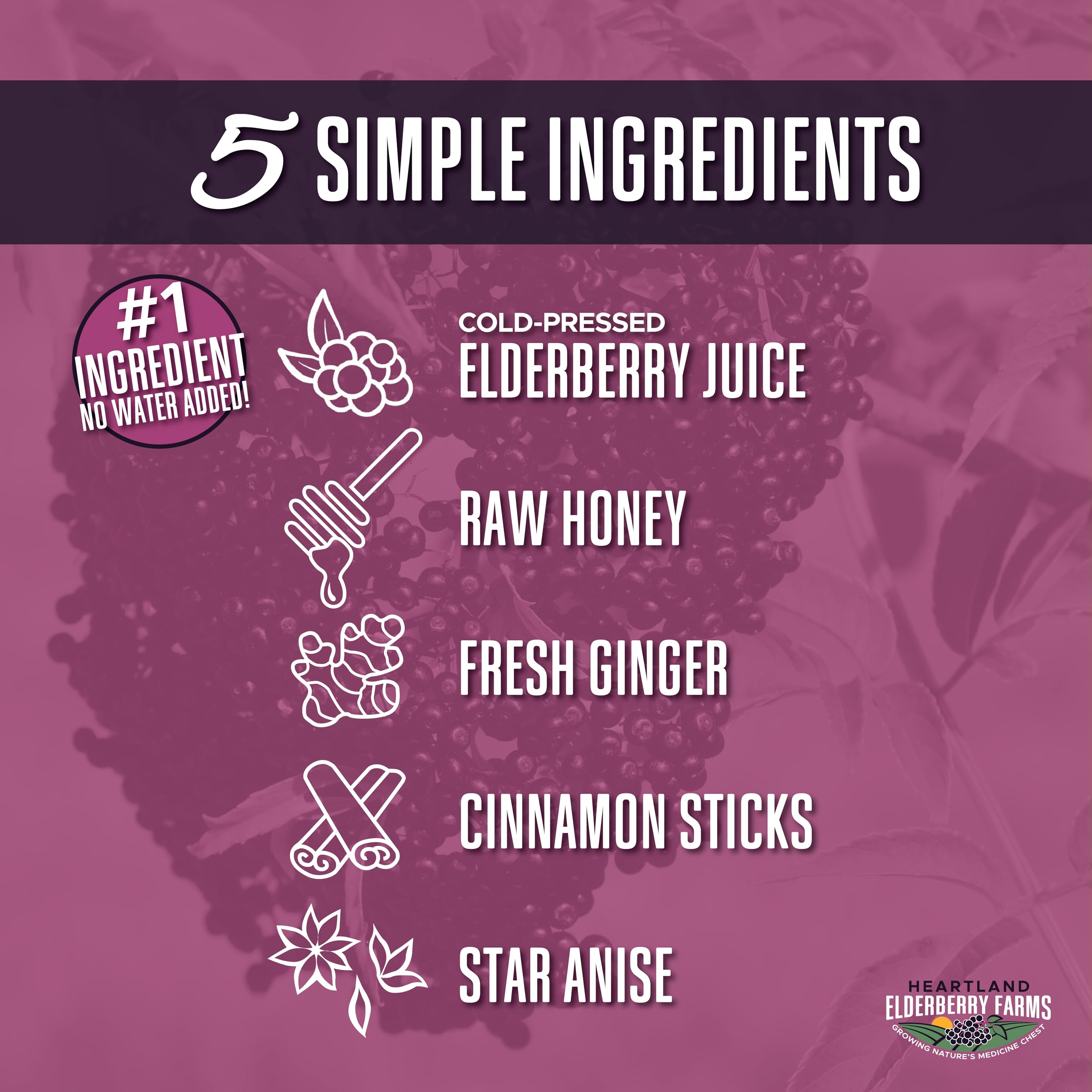 Close-up of the ingredients: elderberry juice, raw honey, ginger juice, cinnamon, star anise
